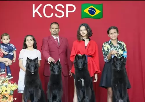 Publicidade e Propaganda