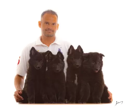 Publicidade e Propaganda
