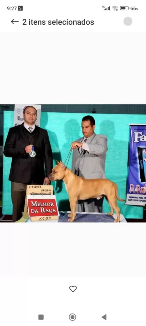 Nossos Campeões