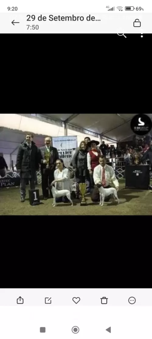 Nossos Campeões