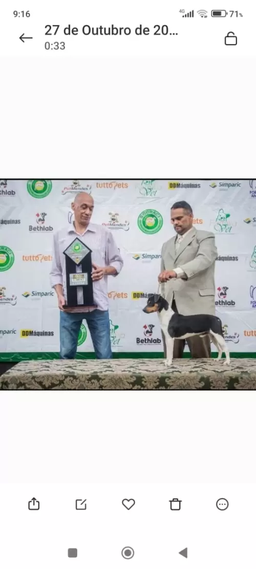 Nossos Campeões