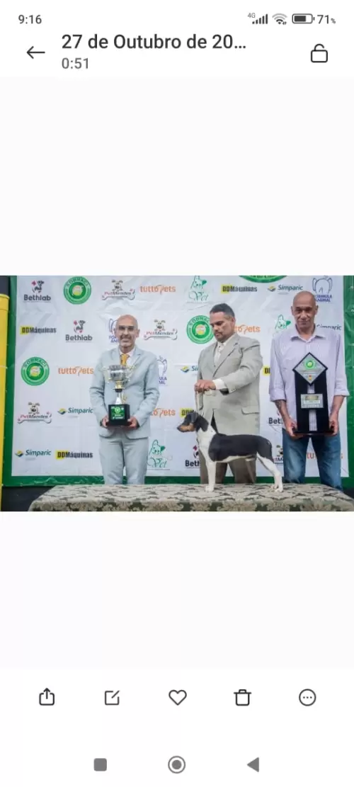 Nossos Campeões