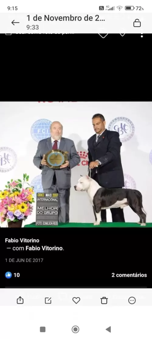 Nossos Campeões