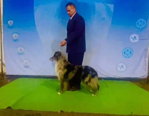 Nossos Campeões
