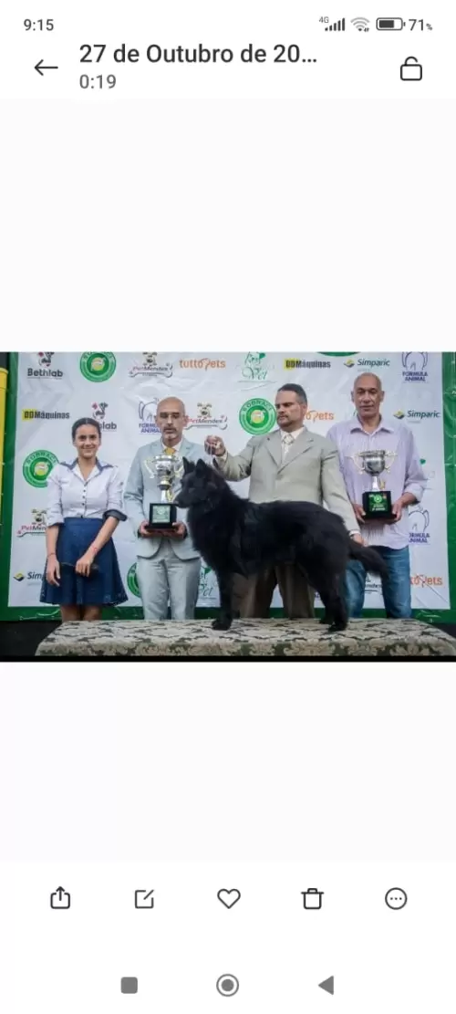 Nossos Campeões