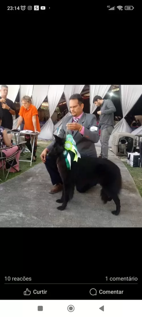 Nossos Campeões