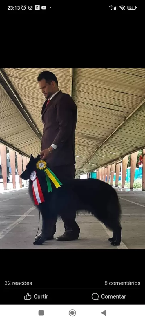 Nossos Campeões