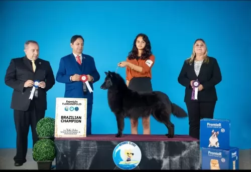 Nossos Campeões