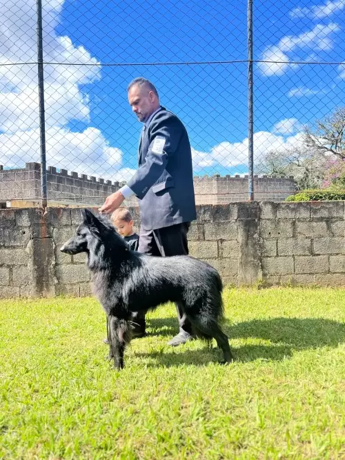 Nossos Campeões