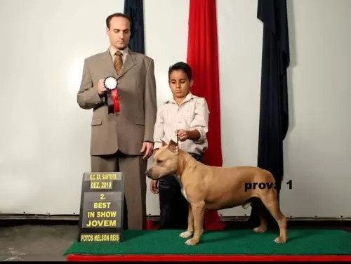 Nossos Campeões