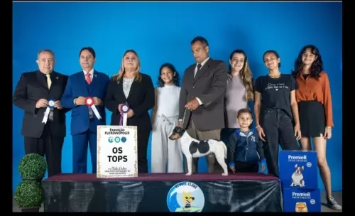 Nossos Campeões