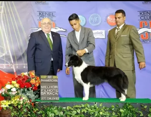 Nossos Campeões