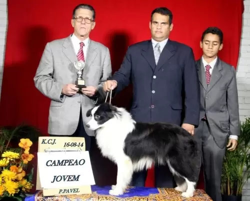 Nossos Campeões
