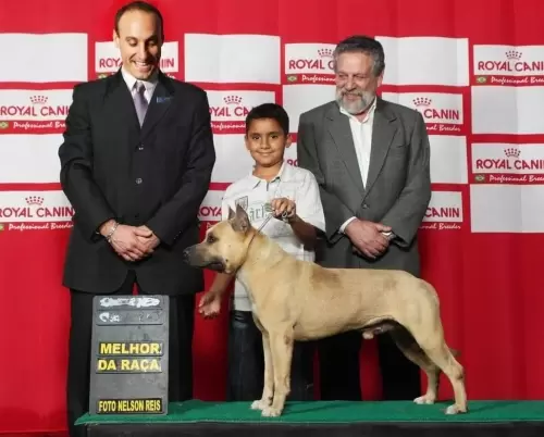 Nossos Campeões