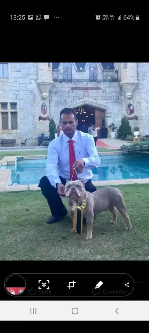 Nossos Campeões