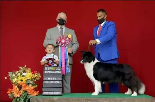 Nossos Campeões