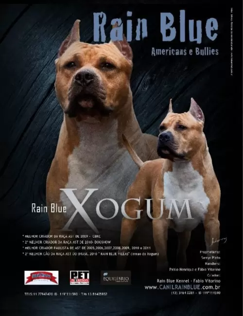 Publicidade e Propaganda