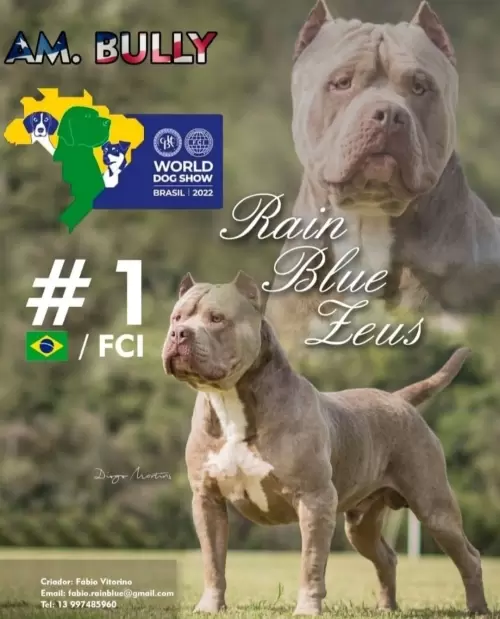 NOSSOS AMERICANS BULLYS