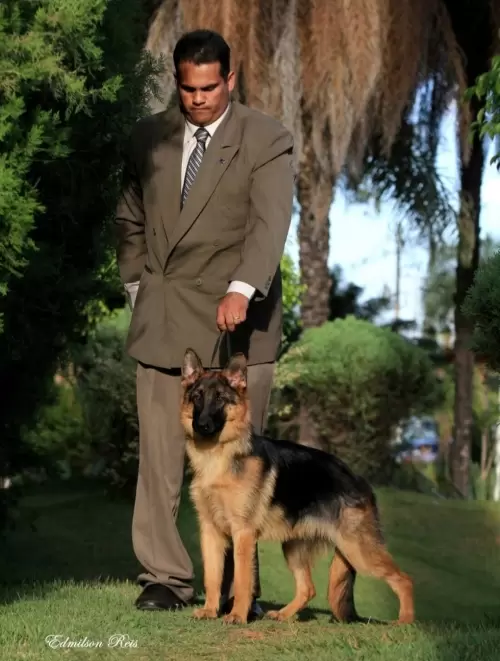 PASTOR ALEMÃO