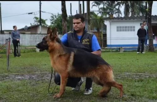 PASTOR ALEMÃO
