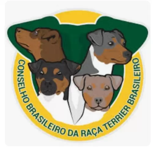 9° EXPOSIÇÃO ESPECIALIZADA DO CONSELHO DA RAÇA TERRIER BRASILEIRO			