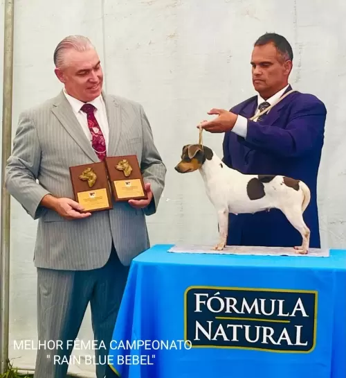 9° EXPOSIÇÃO ESPECIALIZADA DO CONSELHO DA RAÇA TERRIER BRASILEIRO			