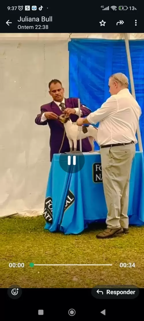 9° EXPOSIÇÃO ESPECIALIZADA DO CONSELHO DA RAÇA TERRIER BRASILEIRO			