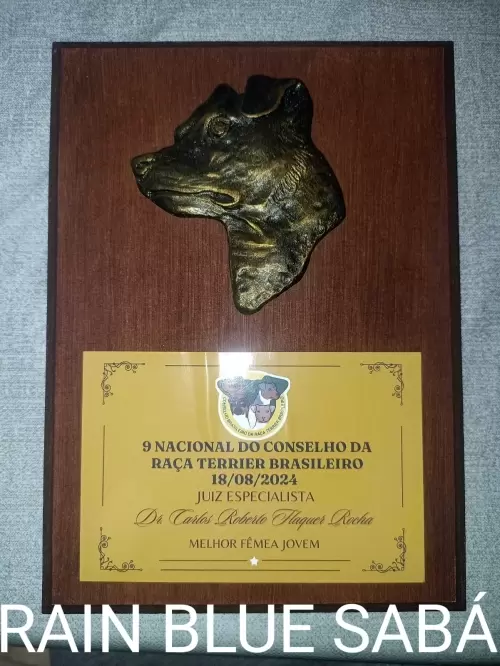 9° EXPOSIÇÃO ESPECIALIZADA DO CONSELHO DA RAÇA TERRIER BRASILEIRO			