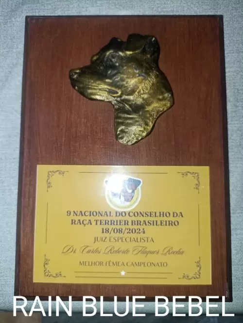 9° EXPOSIÇÃO ESPECIALIZADA DO CONSELHO DA RAÇA TERRIER BRASILEIRO			
