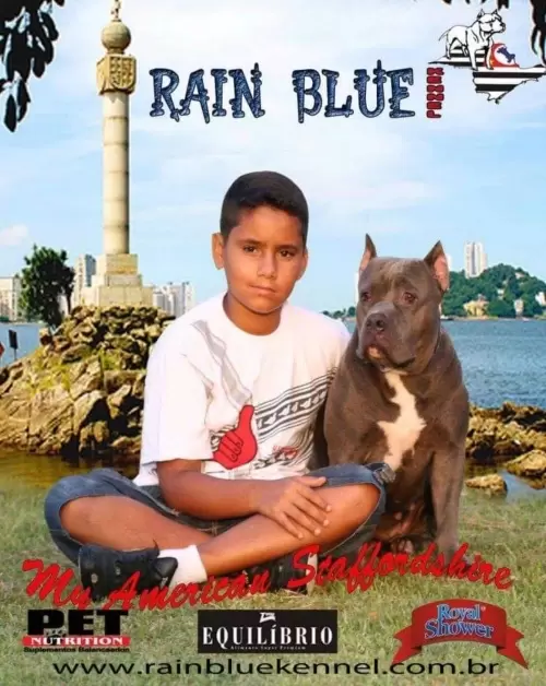 FILHOS EM AÇÃO
