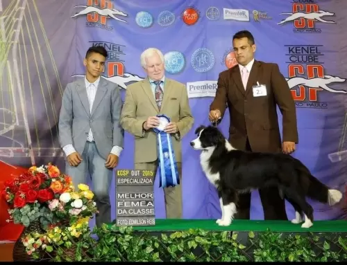 FILHOS EM AÇÃO