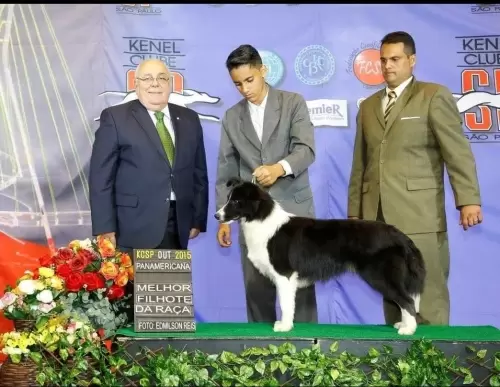 FILHOS EM AÇÃO