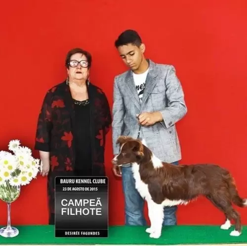 FILHOS EM AÇÃO