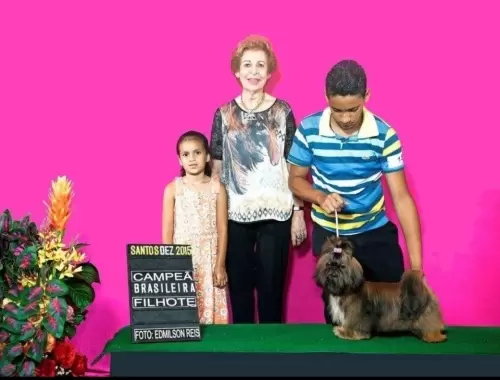 FILHOS EM AÇÃO