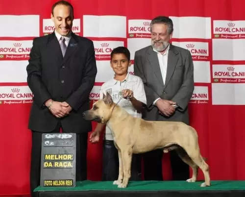 FILHOS EM AÇÃO