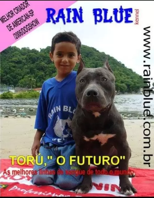 FILHOS EM AÇÃO