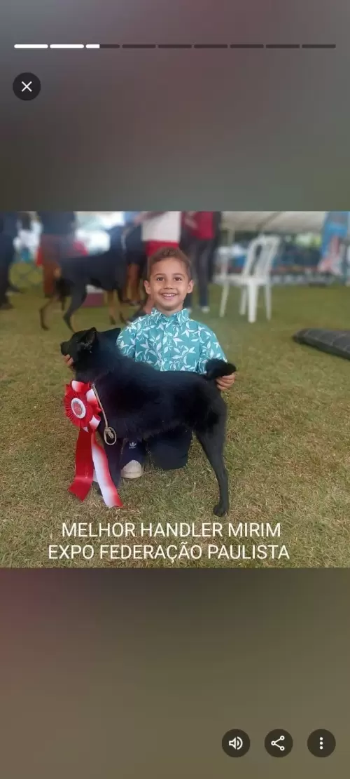 FILHOS EM AÇÃO