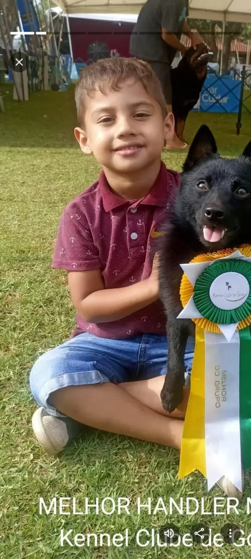 FILHOS EM AÇÃO