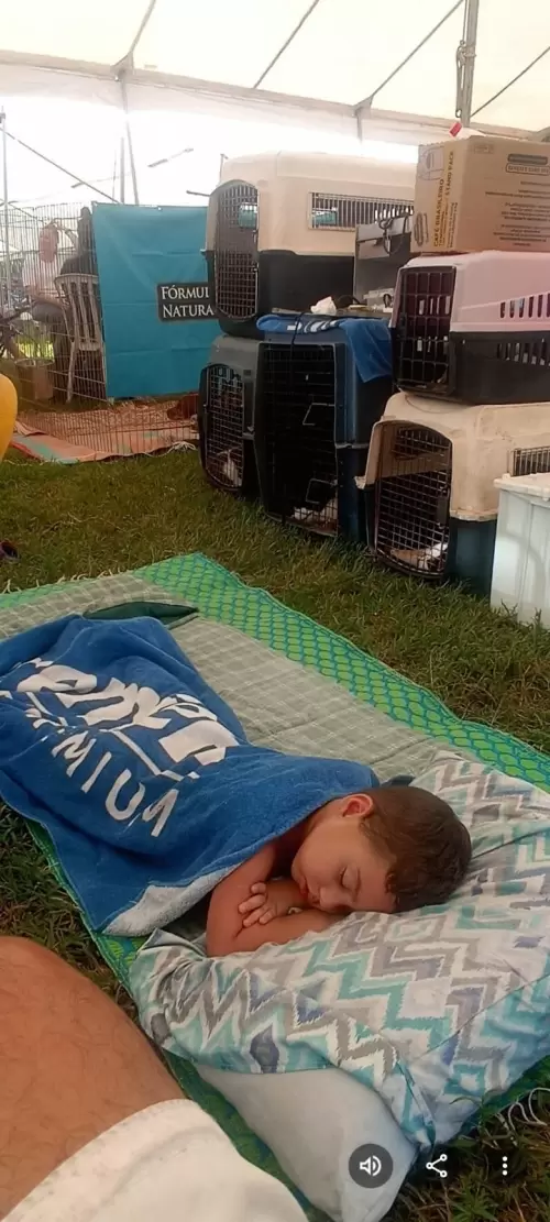 FILHOS EM AÇÃO