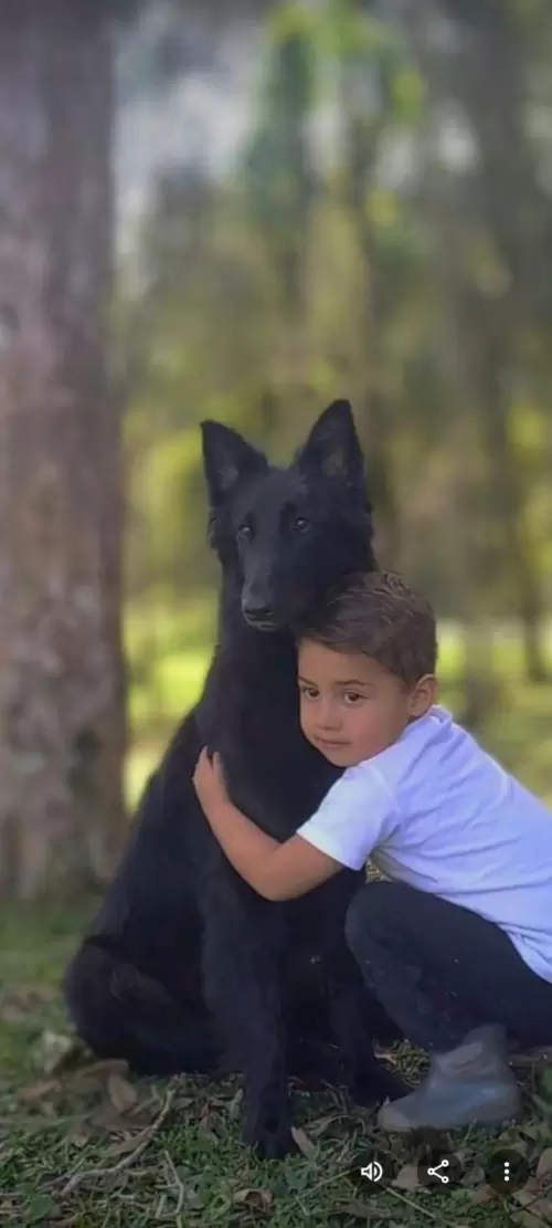 FILHOS EM AÇÃO