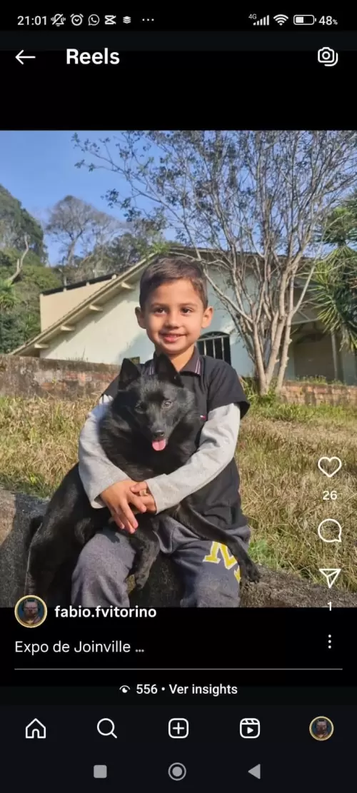 FILHOS EM AÇÃO