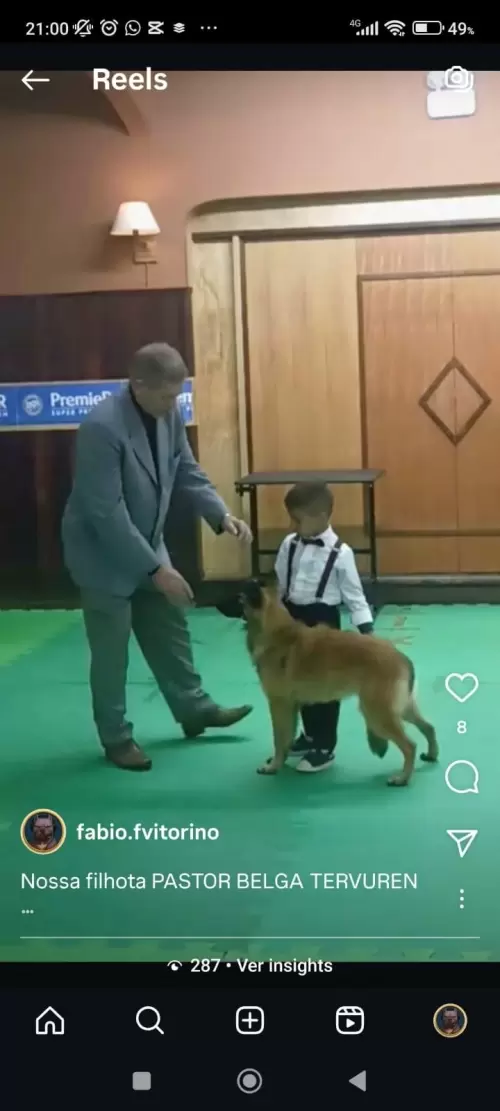 FILHOS EM AÇÃO