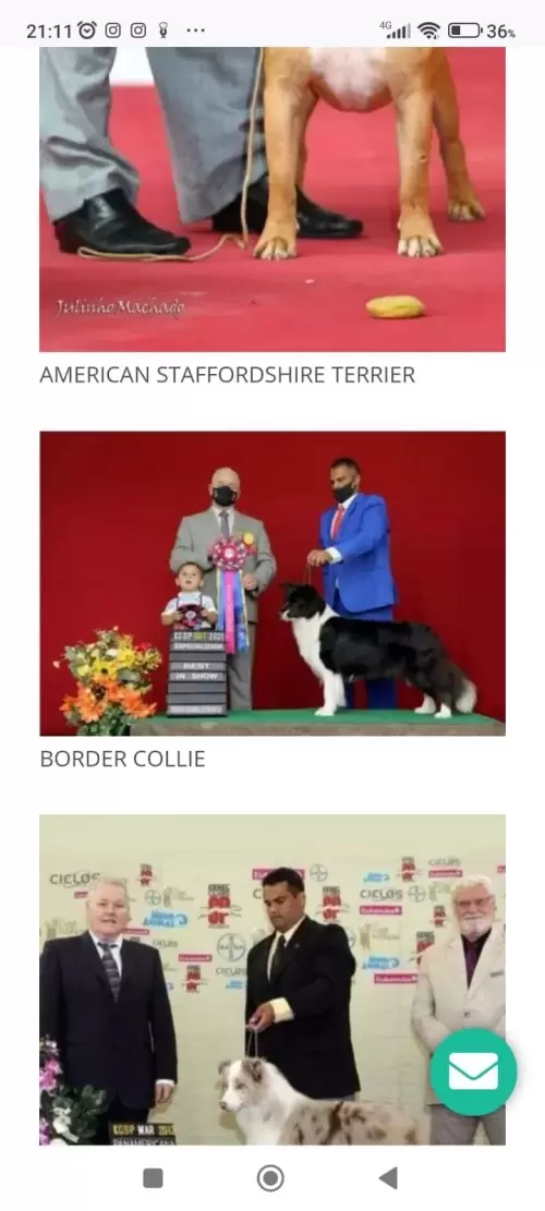 FILHOS EM AÇÃO