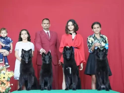 FILHOS EM AÇÃO