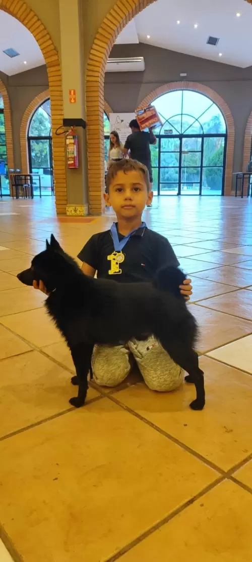 FILHOS EM AÇÃO