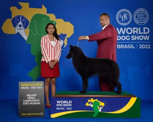 FILHOS EM AÇÃO