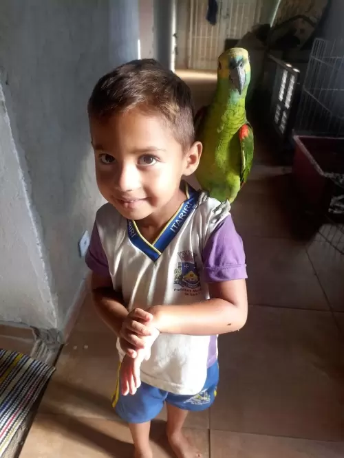 FILHOS EM AÇÃO