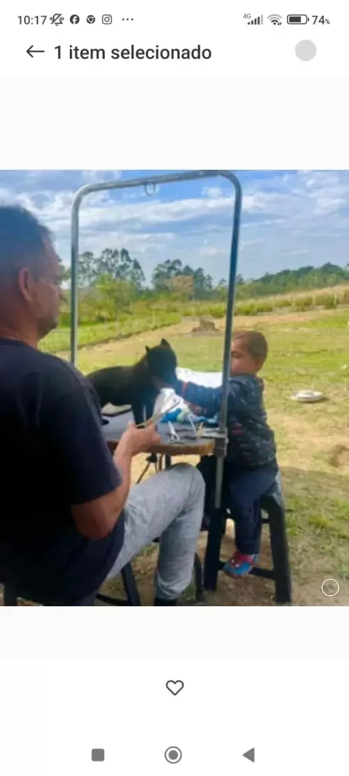 FILHOS EM AÇÃO