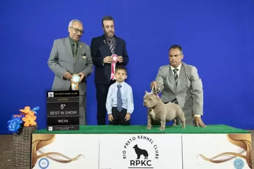 FILHOS EM AÇÃO