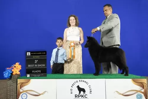 FILHOS EM AÇÃO